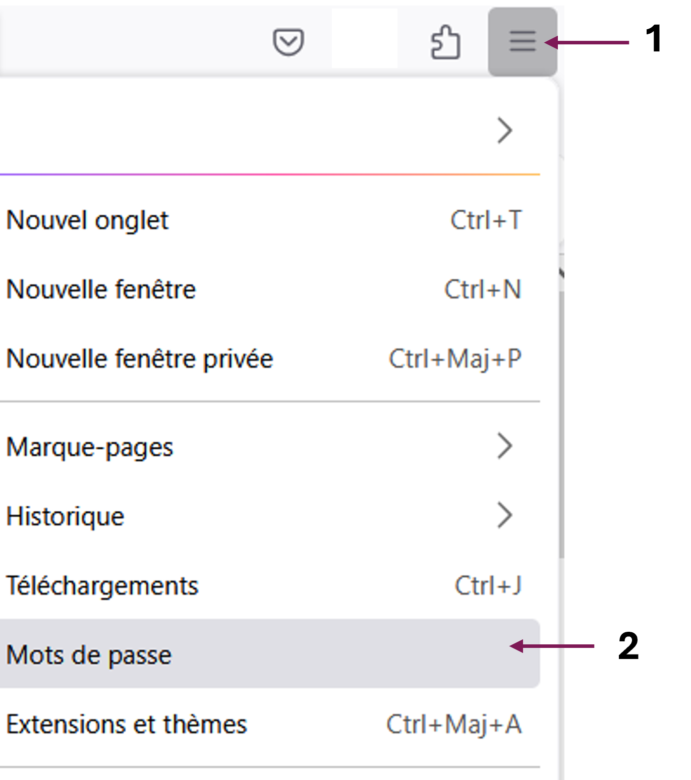 capture mozilla